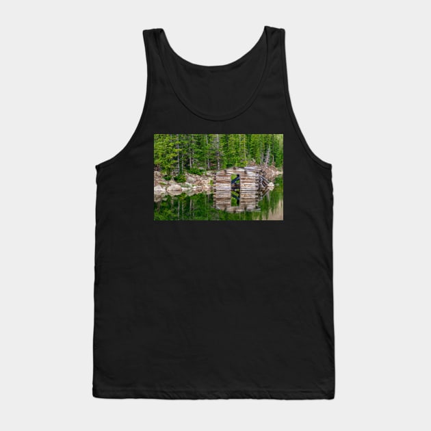 Cabin in the Lake Tank Top by gdb2